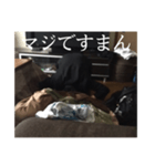 土下座したい時に使えるスタンプ（個別スタンプ：2）