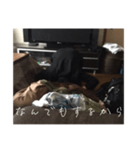 土下座したい時に使えるスタンプ（個別スタンプ：4）