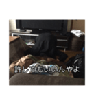 土下座したい時に使えるスタンプ（個別スタンプ：6）