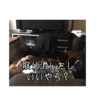 土下座したい時に使えるスタンプ（個別スタンプ：8）