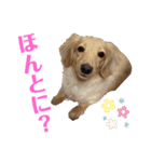 レオンとミルキーとときどき飼い主（個別スタンプ：6）