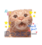 スコのジョニーちゃん♡デカ文字②（個別スタンプ：1）