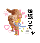 スコのジョニーちゃん♡デカ文字②（個別スタンプ：11）