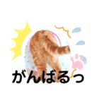 スコのジョニーちゃん♡デカ文字②（個別スタンプ：17）