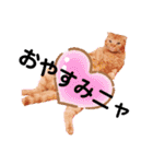 スコのジョニーちゃん♡デカ文字②（個別スタンプ：19）
