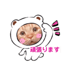 スコのジョニーちゃん♡デカ文字②（個別スタンプ：21）