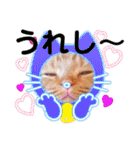スコのジョニーちゃん♡デカ文字②（個別スタンプ：23）