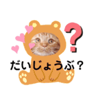 スコのジョニーちゃん♡デカ文字②（個別スタンプ：25）