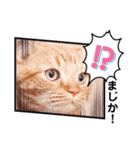 スコのジョニーちゃん♡デカ文字②（個別スタンプ：34）