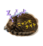 Johnny ＆ Chocola ❶（個別スタンプ：5）