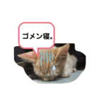 Johnny ＆ Chocola ❶（個別スタンプ：8）