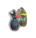 Johnny ＆ Chocola ❶（個別スタンプ：12）