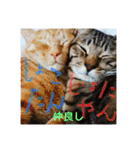 Johnny ＆ Chocola ❶（個別スタンプ：15）