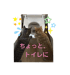Johnny ＆ Chocola ❶（個別スタンプ：22）