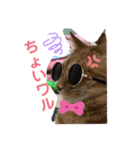 Johnny ＆ Chocola ❶（個別スタンプ：23）
