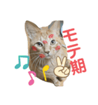 Johnny ＆ Chocola ❶（個別スタンプ：24）