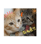 Johnny ＆ Chocola ❶（個別スタンプ：25）