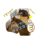Johnny ＆ Chocola ❶（個別スタンプ：26）