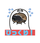 イタグレのランボー（個別スタンプ：20）