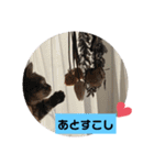 にゃんらいふ(マンチカン)（個別スタンプ：4）