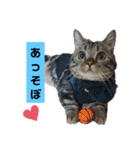 にゃんらいふ(マンチカン)（個別スタンプ：7）