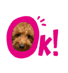 はるたです。（個別スタンプ：3）