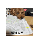 はるたです。（個別スタンプ：10）