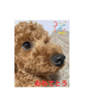 はるたです。（個別スタンプ：14）