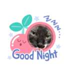 しんちゃこ2（個別スタンプ：4）