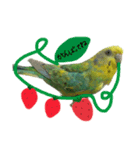 インコのあおいちゃん（個別スタンプ：2）