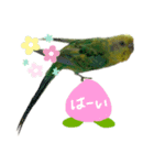 インコのあおいちゃん（個別スタンプ：5）