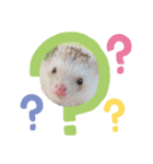はりすた（個別スタンプ：2）