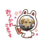 ジュラスタンプJU（個別スタンプ：4）
