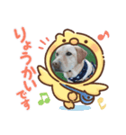 ジュラスタンプJU（個別スタンプ：5）