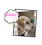 ジュラスタンプJU（個別スタンプ：7）