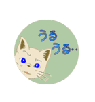 にゃん吉のイラストスタンプ（個別スタンプ：16）