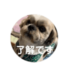 春くんの仲間たち（個別スタンプ：2）