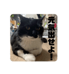 春くんの仲間たち（個別スタンプ：8）