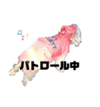 日常きなくる（個別スタンプ：4）