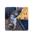 こたつ。（個別スタンプ：4）