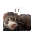 こたつ。（個別スタンプ：5）