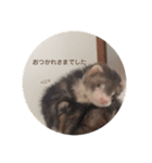 こたつ。（個別スタンプ：10）