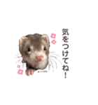 こたつ。（個別スタンプ：12）
