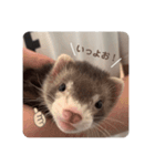 こたつ。（個別スタンプ：14）