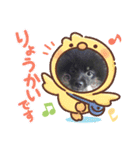くろぽめ♫かいくん（個別スタンプ：5）