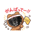 くろぽめ♫かいくん（個別スタンプ：16）