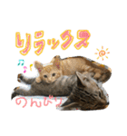 Johnny ＆ Chocola ❷（個別スタンプ：8）