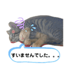 Johnny ＆ Chocola ❷（個別スタンプ：9）