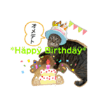 Johnny ＆ Chocola ❷（個別スタンプ：10）