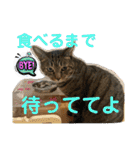 Johnny ＆ Chocola ❷（個別スタンプ：12）